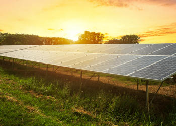 Para que servem painéis solares e como podem impactar o agronegócio