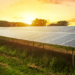 Para que servem painéis solares e como podem impactar o agronegócio
