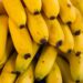 Desvendando o mercado da produção de banana no Brasil: oportunidades que você não pode perder!