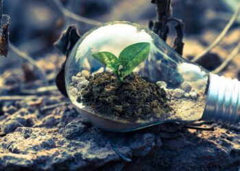 Tecnologia verde: Como as máquinas agrícolas podem revolucionar a produção sustentável e reduzir o uso de agrotóxicos