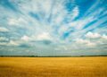 Revitalizando o solo: Descubra como a rotação de culturas pode transformar a agricultura em um modelo sustentável.