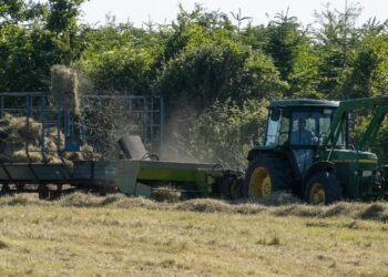 Domine a Gestão de Estoque no Agronegócio: Aprenda passo a passo como gerenciar, otimizar e lucrar com seus estoques agrícolas”.