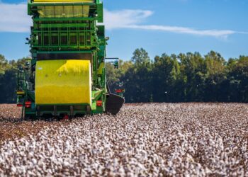 Torne sua plantação de algodão mais eficiente com as melhores máquinas agrícolas do mercado: confira nossas dicas e recomendações!