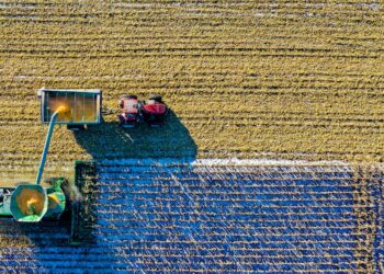 Tudo o que você precisa saber sobre a logística na agropecuária brasileira: da produção à distribuição
