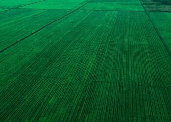 Táticas Infalíveis para Vencer a Concorrência no Agronegócio: Descubra as Estratégias que os Grandes Produtores Utilizam!