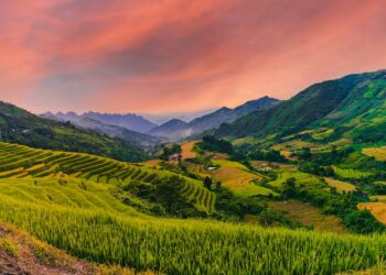 Revolutionize sua plantação de amêndoas com as máquinas agrícolas mais eficientes do mercado: descubra como aumentar sua produção e rendimento!