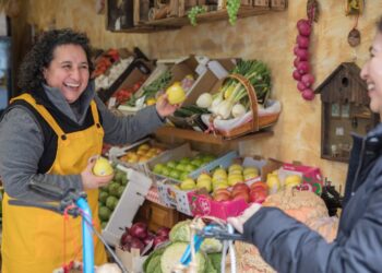 O futuro do mercado de frutas no Brasil: descubra as oportunidades e desafios para produtores e consumidores