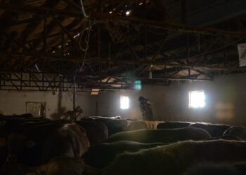 Descubra as 8 tendências que irão revolucionar a agropecuária brasileira nos próximos anos”.