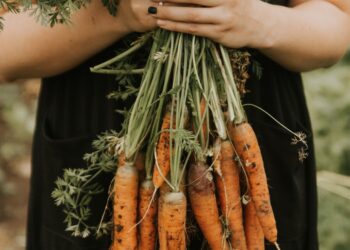 Revolutionize a agricultura e proteja nosso recurso mais valioso: Como as máquinas agrícolas estão transformando a preservação da água