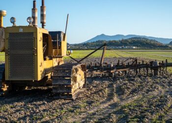 Torne-se um especialista na agropecuária brasileira: A Importância da Qualificação Profissional revelada em 8 tópicos