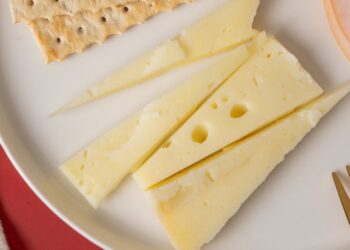 Queijos Artesanais: Técnicas e Cuidados Essenciais para Produção na Pecuária