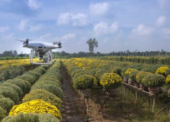 Revolution Agro: Como o uso de drones está transformando a agricultura.