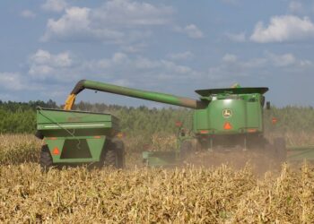 Revolutionize sua colheita de milho com essas inovadoras máquinas agrícolas: um guia completo