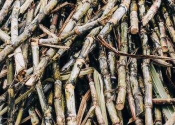 Desvendando o Mercado do Açúcar e Álcool no Brasil: Descubra os Desafios da Produção e Conheça as Perspectivas Futuras!