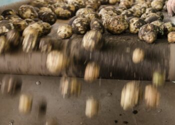 Revolução sustentável: como máquinas agrícolas podem garantir a produção de alimentos sem agrotóxicos