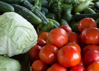 Transforme seu Agronegócio com a Agricultura Familiar: Descubra 8 Passos Práticos para Aplicá-la Hoje Mesmo!