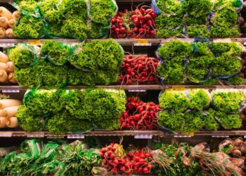 Agropecuária: a chave para garantir a segurança alimentar do país – Descubra como a produção agrícola e pecuária pode suprir as necessidades nutricionais da população brasileira.