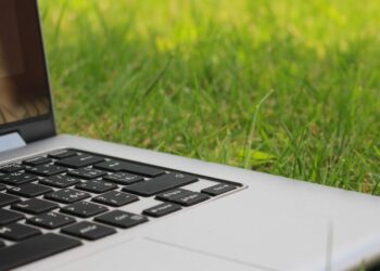 Torne sua Silvicultura Sustentável: 8 estratégias práticas para preservar a natureza e aumentar seus lucros