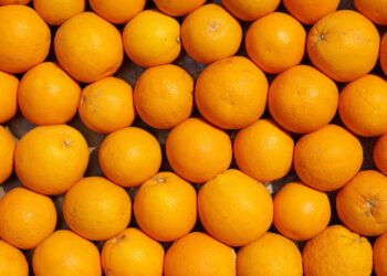 Descubra as Oportunidades do Mercado Brasileiro de Mandarina: Tudo o que Você Precisa Saber sobre a Produção Nacional