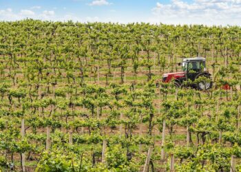 Revolutionize sua produção: Descubra como as máquinas agrícolas podem transformar pequenas propriedades rurais