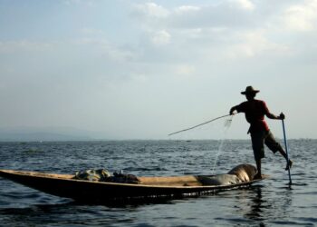 Aprenda a otimizar sua produção: Dicas práticas para gerenciar áreas de pesca no agronegócio