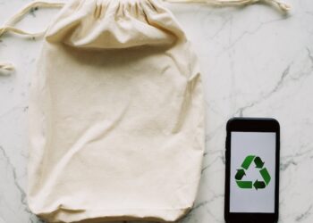 10 maneiras eficazes de controlar pragas e doenças na agricultura sustentável”.