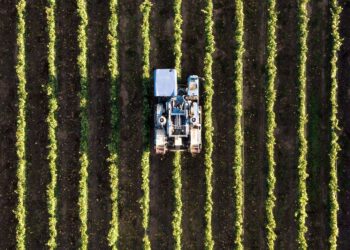 Os impactos invisíveis: Descubra como o uso de agrotóxicos na agropecuária brasileira afeta a sua saúde e o meio ambiente