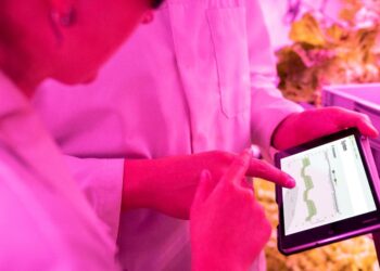 Tudo o que você precisa saber sobre Agricultura Sustentável e seu impacto nas Políticas Públicas do Brasil: Conheça as estratégias que estão transformando o setor agrícola