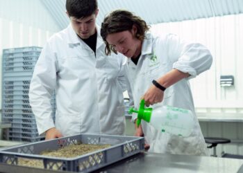 Descubra como a pesquisa científica está transformando a agropecuária brasileira para sempre