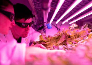 Transformando a Agricultura: Como a Tecnologia Sustentável está Mudando o Jogo