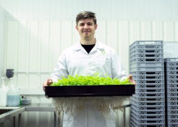 Tudo o que você precisa saber sobre Agricultura Sustentável e as Novas Culturas que estão revolucionando o setor.