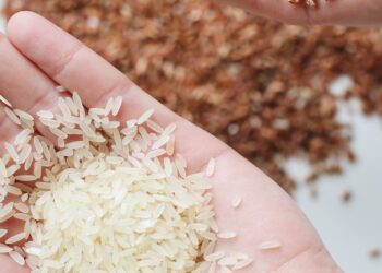 Arroz Brasileiro: Oportunidades de mercado na produção nacional