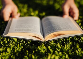 Terra fértil, mentes brilhantes: a importância da educação no campo para o desenvolvimento do Brasil