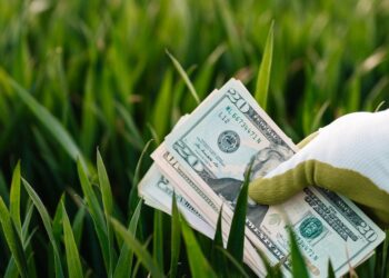 Tecnologia, inovação e crescimento: Como as Startups estão transformando o Agronegócio