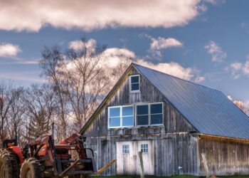 Torne sua produção de mudas mais eficiente: Conheça as melhores máquinas agrícolas disponíveis no mercado!