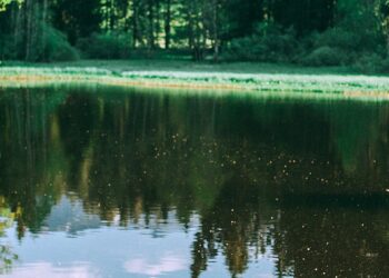 Domine a Gestão de Reservatórios no Agronegócio: Dicas Essenciais e Estratégias Práticas para Aumentar sua Produtividade