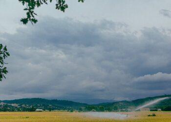 Como a irrigação revolucionou a produtividade na agropecuária brasileira: Descubra os benefícios, técnicas e tecnologias necessárias para colher os melhores resultados.