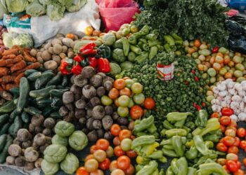 Desvendando o crescimento surpreendente do mercado de orgânicos no Brasil: Tudo o que você precisa saber sobre essa indústria em expansão”.