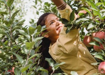 Descubra como práticas sustentáveis estão transformando o Agronegócio: 8 exemplos inspiradores