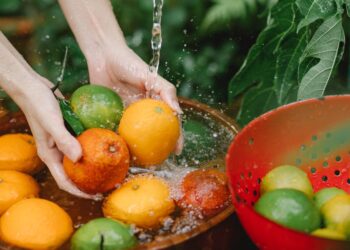 Descubra as melhores máquinas agrícolas para colher frutas e aumente sua produtividade em até 50%