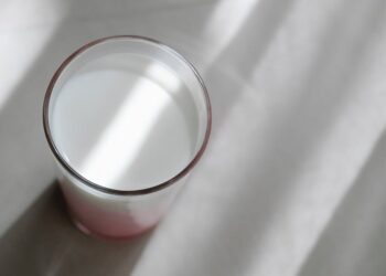 Produção de leite de búfala: segredos para um produto diferenciado e rentável