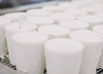 Melhore a produção leiteira: descubra os principais cuidados e técnicas de manejo para vacas em lactação na pecuária