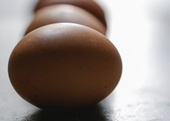 Descubra os segredos da Produção de ovos caipiras: Técnicas e Cuidados para garantir qualidade e lucratividade