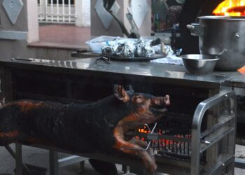 Descubra os segredos da produção de carne de avestruz: técnicas e cuidados essenciais para uma criação de sucesso