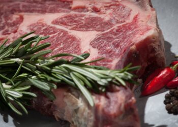 Segredos da produção de carne de cordeiro: técnicas e cuidados indispensáveis para o sucesso!