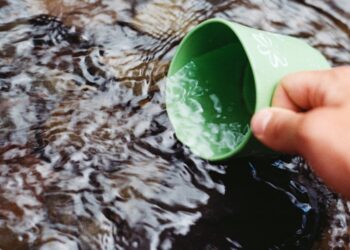 Título sugerido: “A importância da água limpa na piscicultura: Como a qualidade afeta a produção de peixes