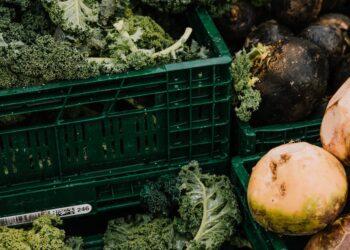 Revolutionize sua produção de hortaliças de raiz: conheça as melhores máquinas agrícolas do mercado