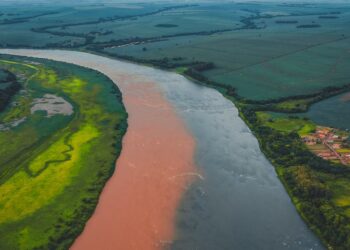 Agropecuária sustentável: como a preservação ambiental é vital para o futuro da produção brasileira de alimentos?
