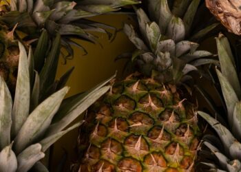 Tudo o que você precisa saber sobre as melhores máquinas agrícolas para aumentar a produção de abacaxis: guia completo com dicas técnicas e práticas