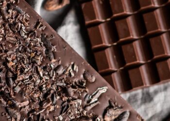 Tudo o que você precisa saber sobre a produção de cacau no Brasil: história, desafios e perspectivas futuras